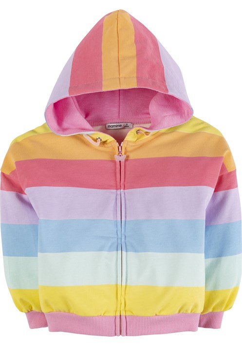 Striped Hoodie Sweatshirt