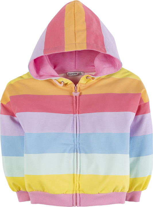 Striped Hoodie Sweatshirt