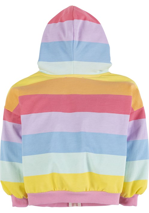 Striped Hoodie Sweatshirt